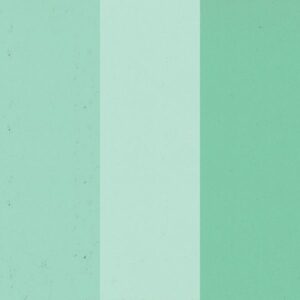 Pigmento Mineral en pasta 07