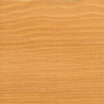 9236 Alerce Transparente